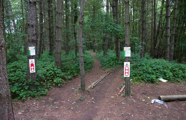 ribbesford bike park