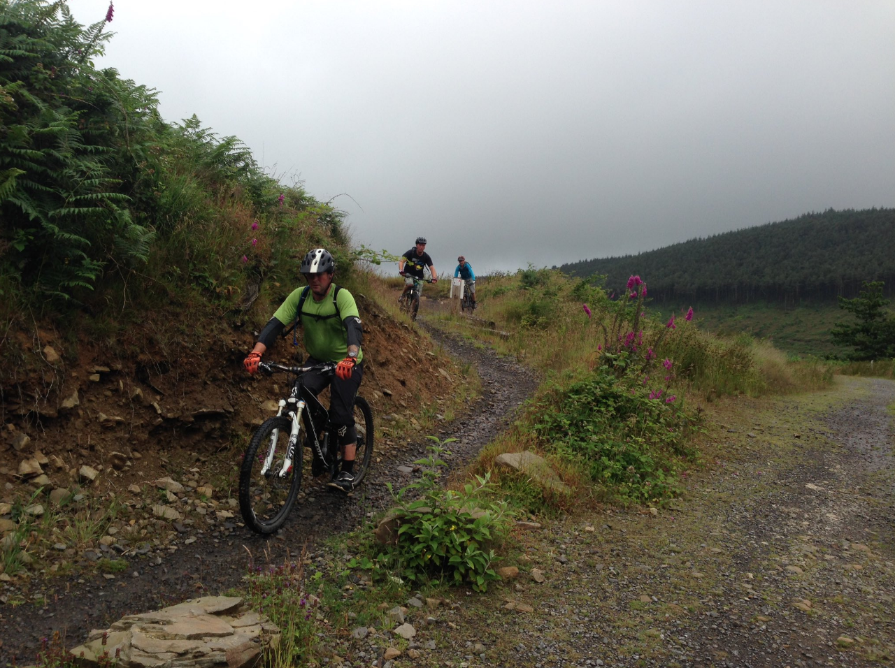 afan forest mtb trails