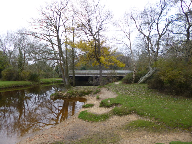 balmerlawn wild swimming hampshire