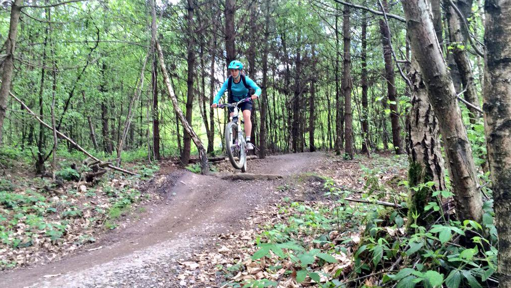 bedgebury forest mtb