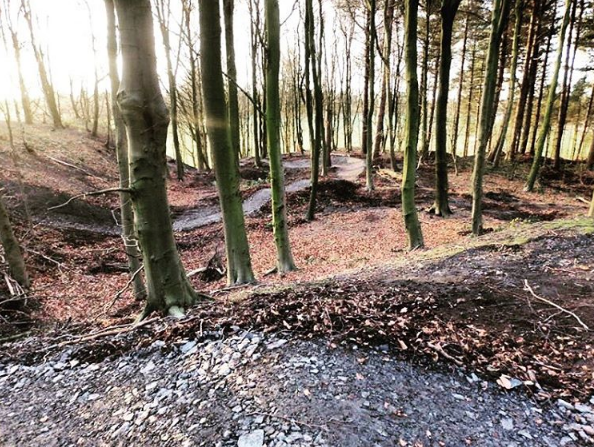 healey nab mountain bike trails