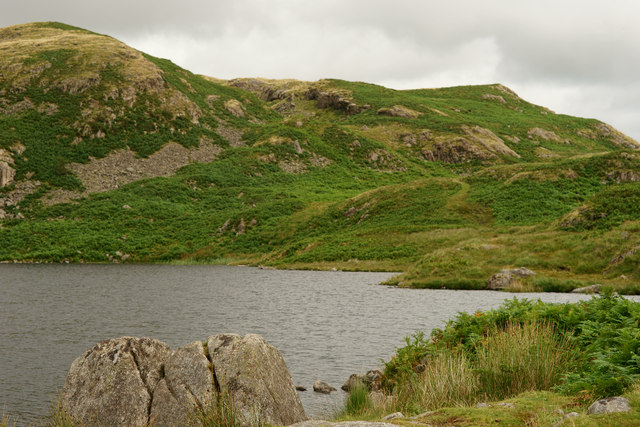 blea-tarn lake district wild swimming