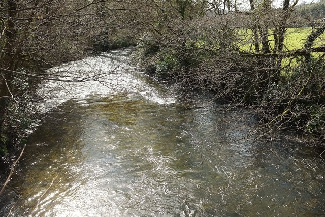 cabilla-woods wild swimming cornwall