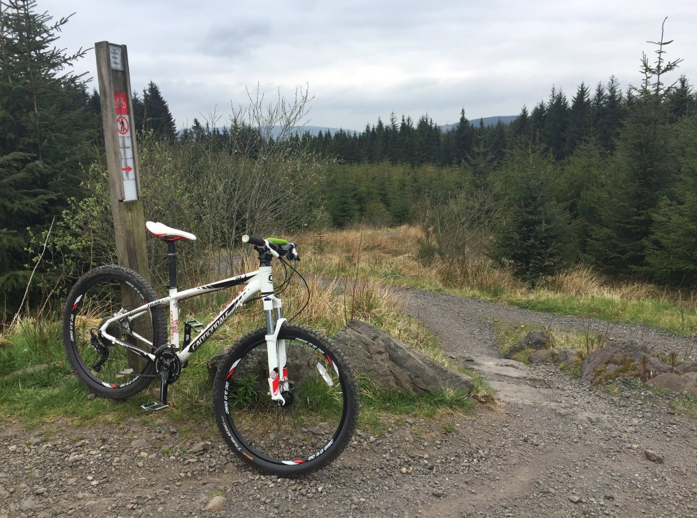 carron valley mountain bike