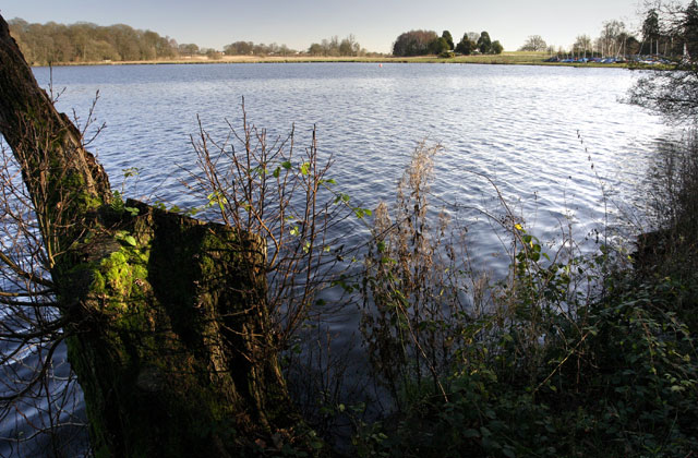 st-catherines-hill wild swimming surrey