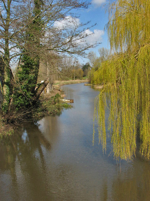 coltishall wild swimming norfolk