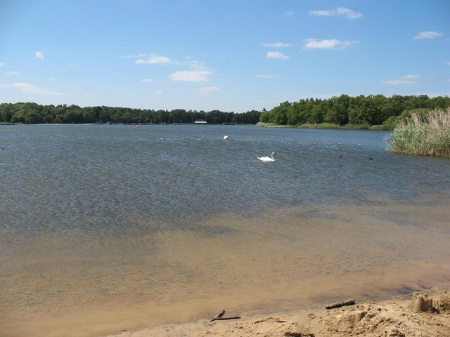 frensham-great-pond wild swimming surrey