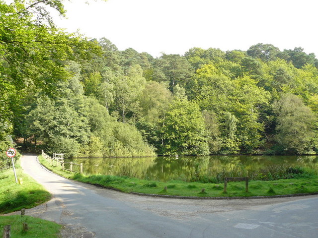 friday-street wild swimming surrey