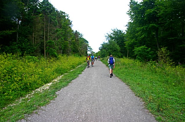 friston forest mtb