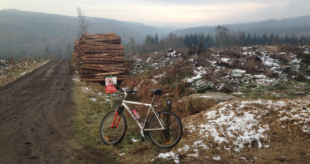 Hamsterley Forest Thryve
