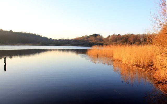 hatchmere wild swimming cheshire