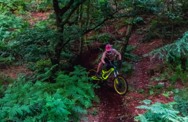 healey nab mountain bike trails