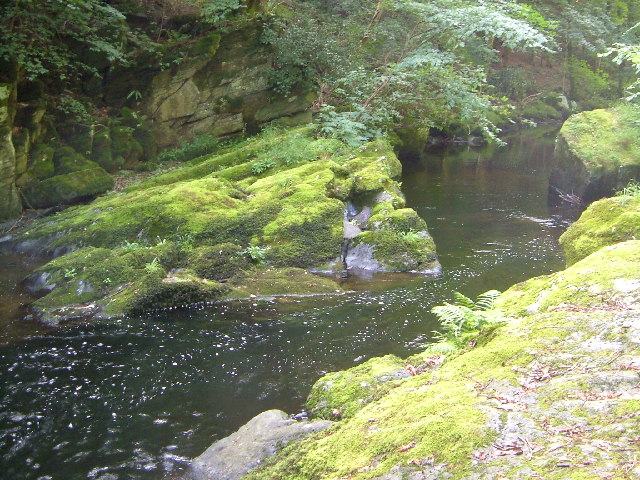 long-pool wild swimming devon exmoor