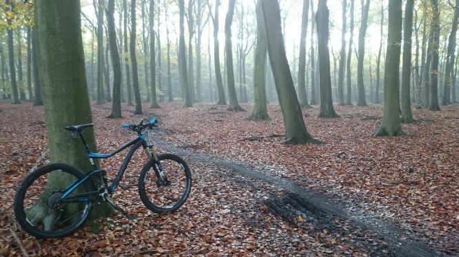 sherwood pines mtb