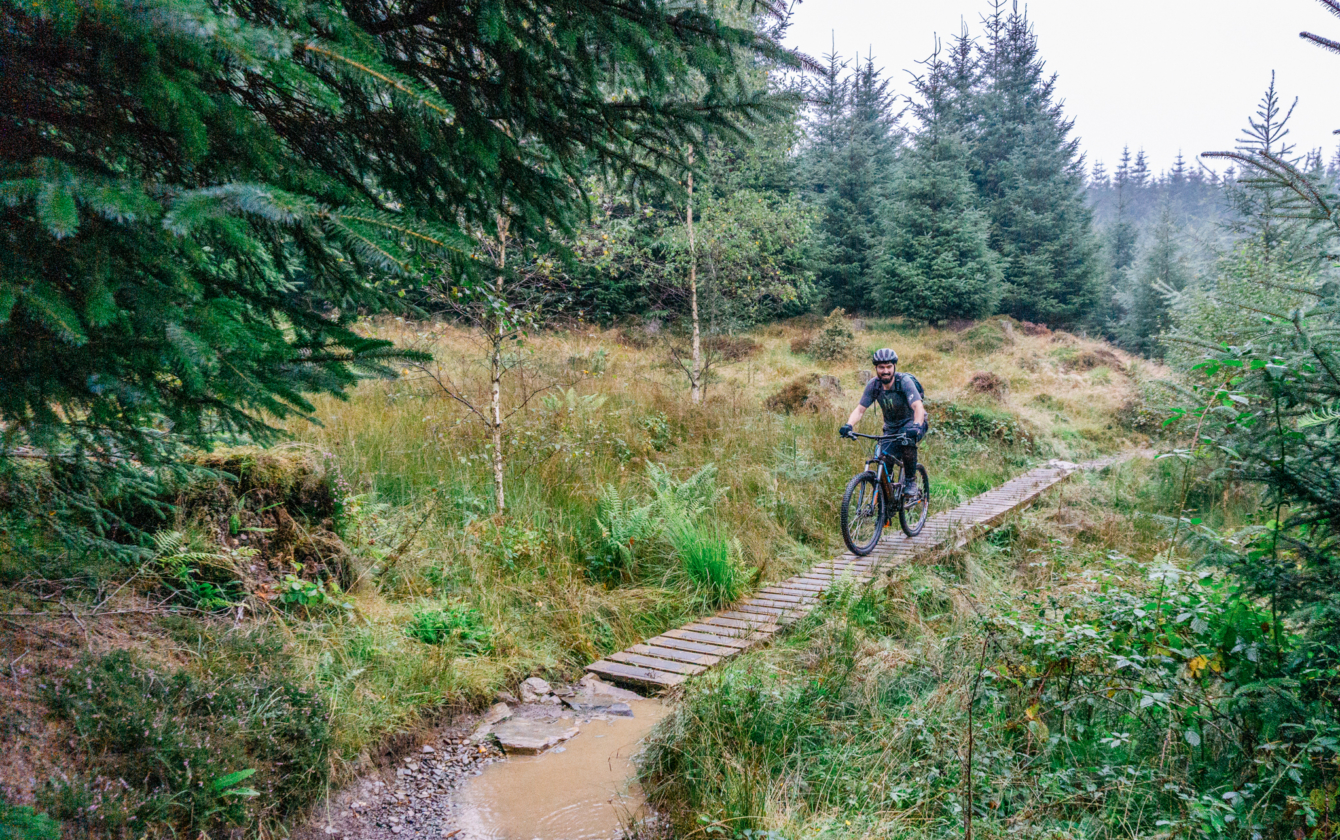 grizedale mtb